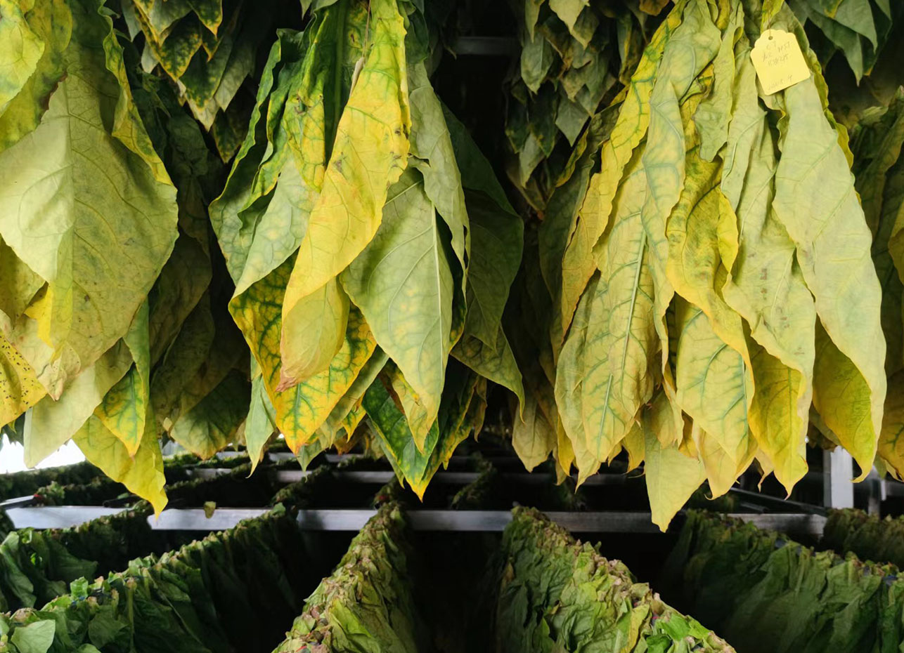 烟草热泵烘干机,热泵烟草烘干机,烟叶热泵烘干机