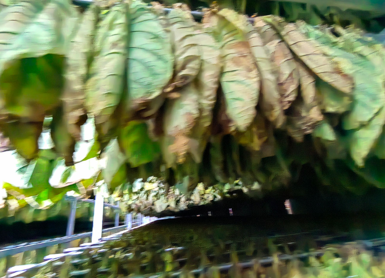 烟草热泵烘干机,热泵烟草烘干机,烟叶热泵烘干机