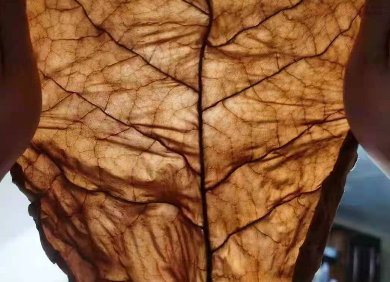 烟草热泵烘干机,热泵烟草烘干机,烟叶热泵烘干机